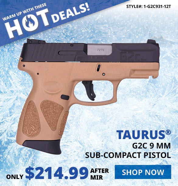 TAURUS G2C